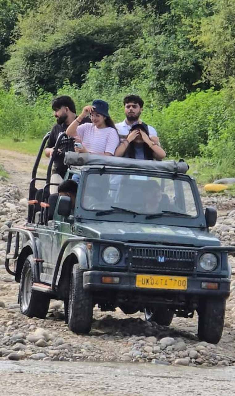 safari experience image-4